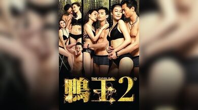 鸭王2：鸡同鸭恋